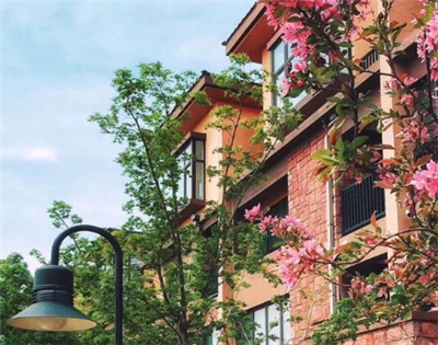 沈陽(yáng)逸景母嬰會(huì )所外景