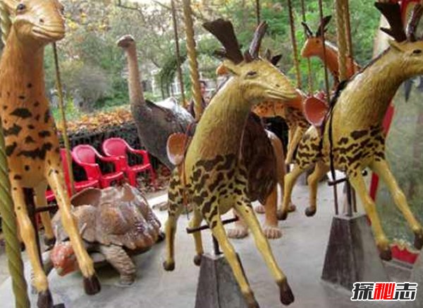 10大最奇特滅絕物種 第九長(cháng)達三米,第一致死高手(附圖)