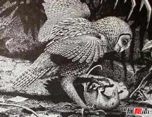 10大最奇特滅絕物種 第九長(cháng)達三米,第一致死高手(附圖)