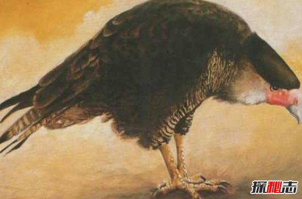 10大最奇特滅絕物種 第九長(cháng)達三米,第一致死高手(附圖)