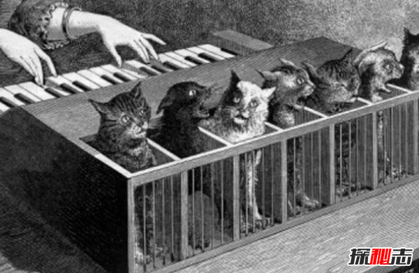 不敢想象!世界上最奇怪的十種樂(lè )器,蔬菜樂(lè )器你肯定沒(méi)見(jiàn)過(guò)