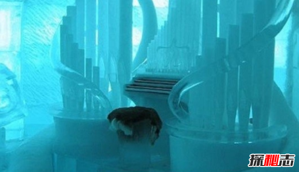 不敢想象!世界上最奇怪的十種樂(lè )器,蔬菜樂(lè )器你肯定沒(méi)見(jiàn)過(guò)