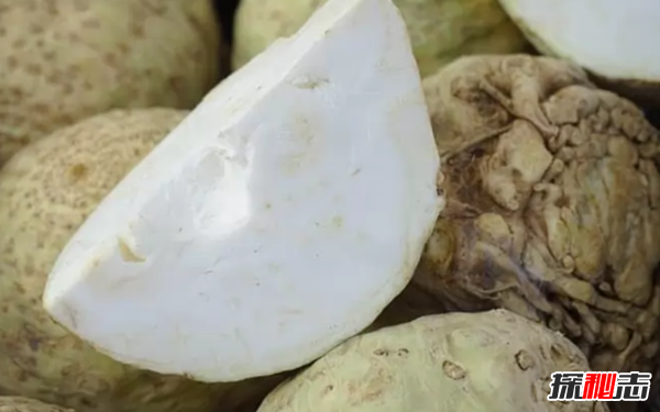 大部分人沒(méi)見(jiàn)過(guò)的蔬菜?盤(pán)點(diǎn)世界十大鮮為人知的蔬菜