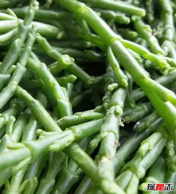 大部分人沒(méi)見(jiàn)過(guò)的蔬菜?盤(pán)點(diǎn)世界十大鮮為人知的蔬菜