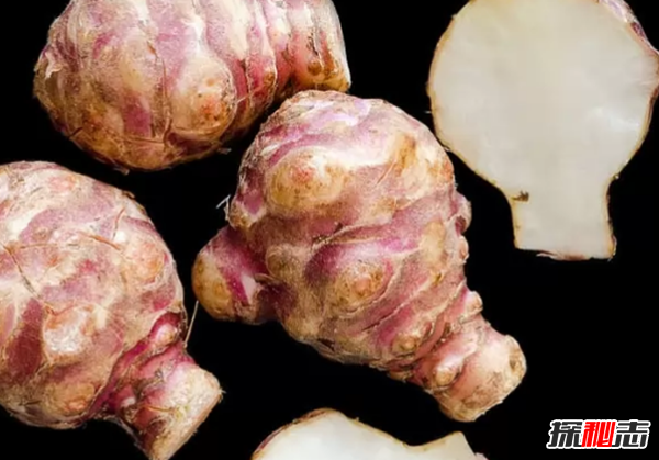 大部分人沒(méi)見(jiàn)過(guò)的蔬菜?盤(pán)點(diǎn)世界十大鮮為人知的蔬菜