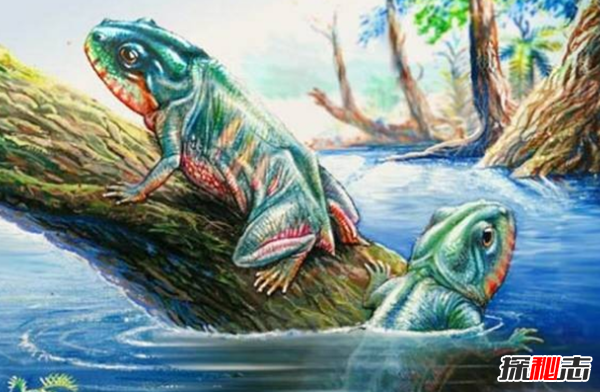 地球還存在史前生物嗎?世界十大無(wú)害的史前生物