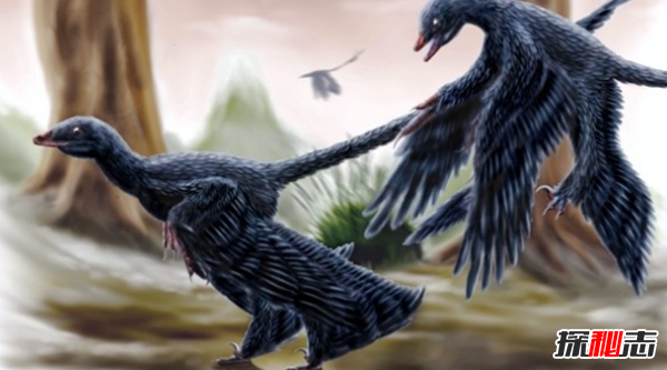 地球還存在史前生物嗎?世界十大無(wú)害的史前生物