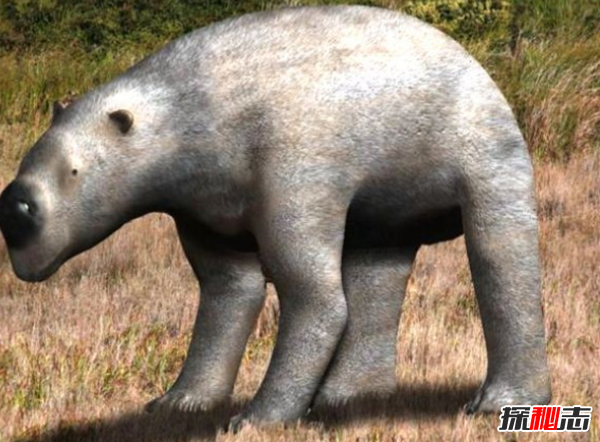 地球還存在史前生物嗎?世界十大無(wú)害的史前生物