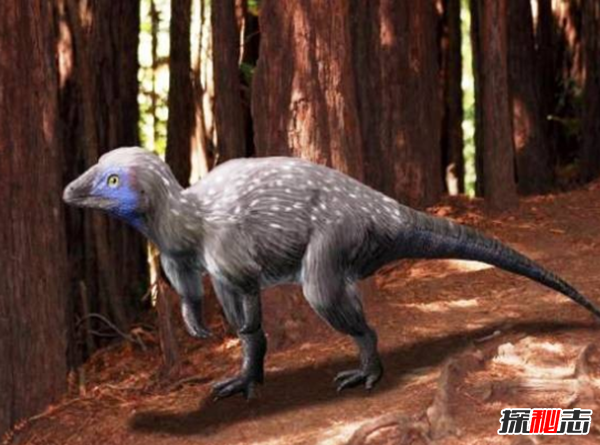 地球還存在史前生物嗎?世界十大無(wú)害的史前生物