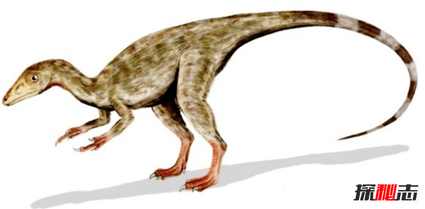 地球還存在史前生物嗎?世界十大無(wú)害的史前生物