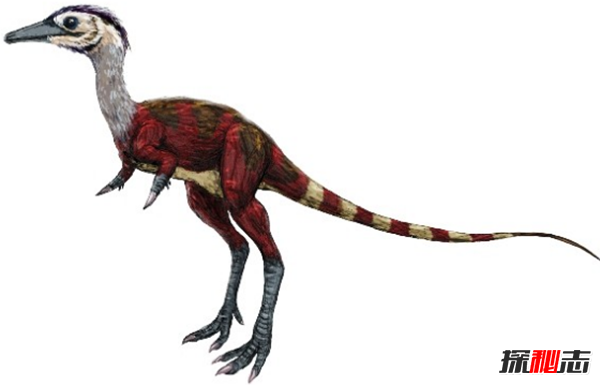 地球還存在史前生物嗎?世界十大無(wú)害的史前生物