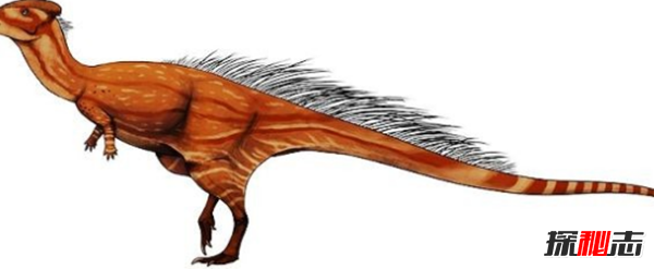 地球還存在史前生物嗎?世界十大無(wú)害的史前生物