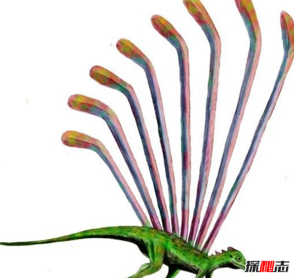 地球還存在史前生物嗎?世界十大無(wú)害的史前生物