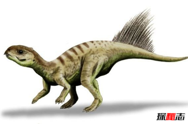 地球還存在史前生物嗎?世界十大無(wú)害的史前生物