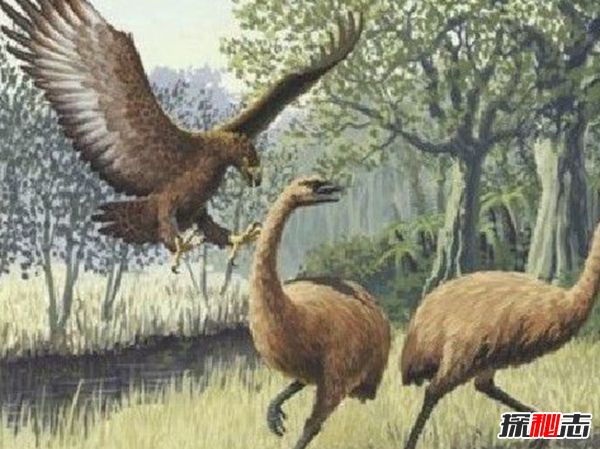 地球還存在史前生物嗎?世界十大無(wú)害的史前生物