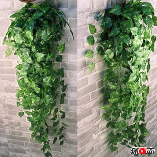 家有10種東西必破財,揭秘家里一定不能放的東西